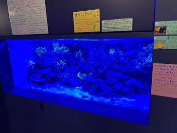 竹島水族館に投稿された画像（2025/11/7）