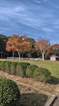 野外民族博物館 リトルワールドに投稿された画像（2025/11/7）