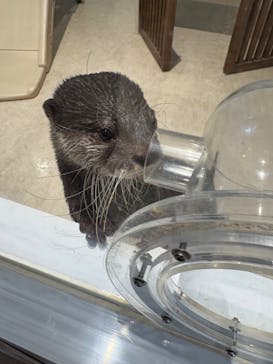 アニタッチPARKイオンモール太田に投稿された画像（2025/11/7）