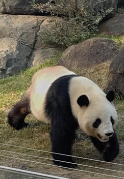 恩賜上野動物園に投稿された画像（2025/11/7）