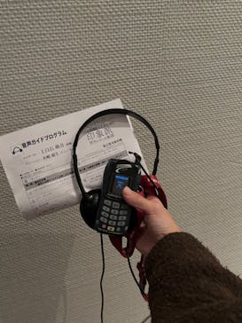 オルセー美術館所蔵 印象派―室内をめぐる物語に投稿された画像（2025/11/7）