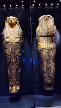 ACN ラムセス大王展 ファラオたちの黄金に投稿された画像（2025/11/7）