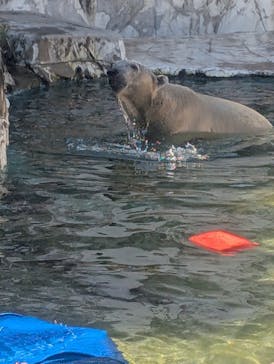 名古屋市東山動植物園に投稿された画像（2025/11/7）