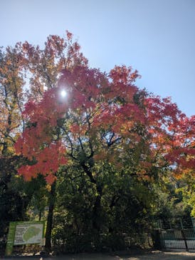 名古屋市東山動植物園に投稿された画像（2025/11/7）