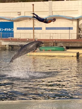 伊豆・三津シーパラダイスに投稿された画像（2025/11/7）