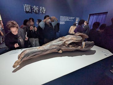 正倉院 THE SHOW ―感じる。いま、ここにある奇跡―　@上野の森美術館に投稿された画像（2025/11/7）