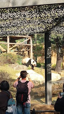 恩賜上野動物園に投稿された画像（2025/11/7）