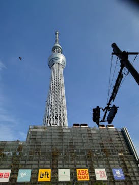 東京スカイツリーに投稿された画像（2025/11/7）