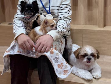 いぬカフェRio 浅草店に投稿された画像（2025/11/7）