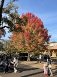 名古屋市東山動植物園に投稿された画像（2025/11/7）