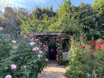 横浜イングリッシュガーデンに投稿された画像（2025/11/7）