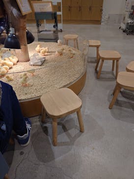 Moff animal cafe イオンモール新利府店に投稿された画像（2025/11/7）