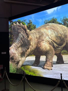 特別展「大絶滅展―生命史のビッグファイブ」に投稿された画像（2025/11/7）