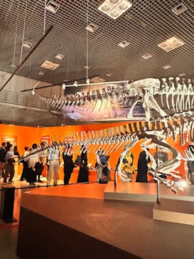 特別展「大絶滅展―生命史のビッグファイブ」に投稿された画像（2025/11/7）