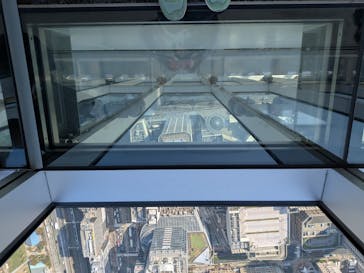 ハルカス300(展望台)に投稿された画像（2025/11/7）