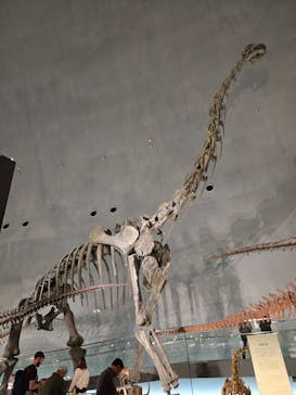 福井県立恐竜博物館に投稿された画像（2025/11/7）
