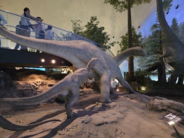 福井県立恐竜博物館に投稿された画像（2025/11/7）