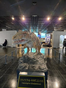 福井県立恐竜博物館に投稿された画像（2025/11/7）