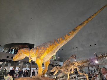 福井県立恐竜博物館に投稿された画像（2025/11/7）