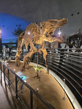 福井県立恐竜博物館に投稿された画像（2025/11/7）