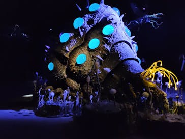 金曜ロードショーとジブリ展（静岡展）に投稿された画像（2025/11/7）