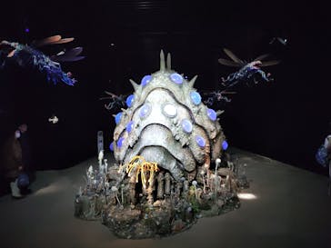 金曜ロードショーとジブリ展（静岡展）に投稿された画像（2025/11/7）