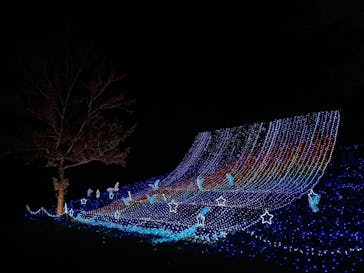 修善寺虹の郷に投稿された画像（2025/11/7）