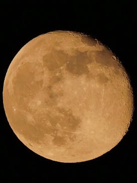 東京スカイツリーに投稿された画像（2025/11/7）