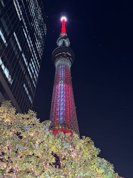 東京スカイツリーに投稿された画像（2025/11/7）