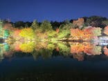 国営昭和記念公園 秋の夜散歩に投稿された画像（2025/11/7）