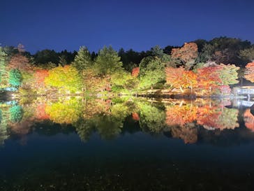 国営昭和記念公園 秋の夜散歩に投稿された画像（2025/11/7）