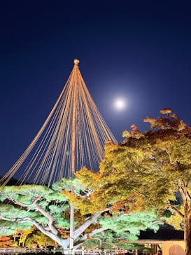 国営昭和記念公園 秋の夜散歩に投稿された画像（2025/11/7）