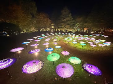 国営昭和記念公園 秋の夜散歩に投稿された画像（2025/11/7）