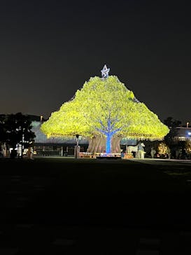 東京メガイルミに投稿された画像（2025/11/7）