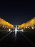 国営昭和記念公園 秋の夜散歩に投稿された画像（2025/11/7）