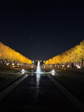 国営昭和記念公園 秋の夜散歩に投稿された画像（2025/11/7）