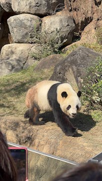 恩賜上野動物園に投稿された画像（2025/11/7）