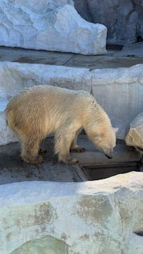恩賜上野動物園に投稿された画像（2025/11/7）