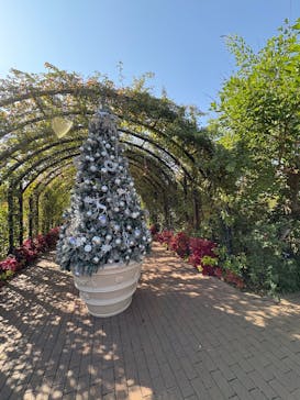 横浜イングリッシュガーデンに投稿された画像（2025/11/7）