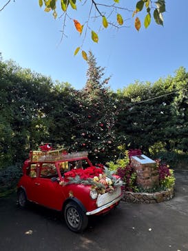 横浜イングリッシュガーデンに投稿された画像（2025/11/7）