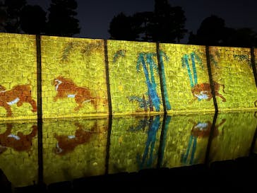 NAKED meets 二条城 2025 観月に投稿された画像（2025/11/7）