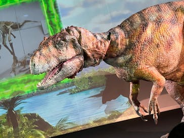 福井県立恐竜博物館に投稿された画像（2025/11/7）