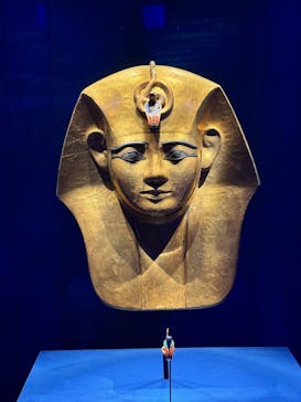 ACN ラムセス大王展 ファラオたちの黄金に投稿された画像（2025/11/7）