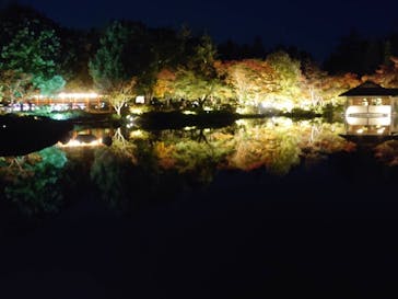 国営昭和記念公園 秋の夜散歩に投稿された画像（2025/11/7）