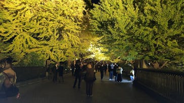 国営昭和記念公園 秋の夜散歩に投稿された画像（2025/11/7）