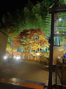 国営昭和記念公園 秋の夜散歩に投稿された画像（2025/11/7）