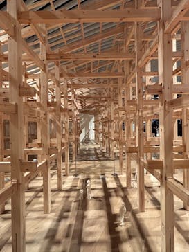 森美術館に投稿された画像（2025/11/7）