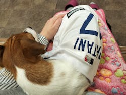 いぬカフェRio 吉祥寺店に投稿された画像（2025/11/7）