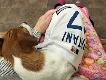 いぬカフェRio 吉祥寺店に投稿された画像（2025/11/7）