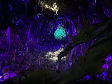 金曜ロードショーとジブリ展（静岡展）に投稿された画像（2025/11/7）